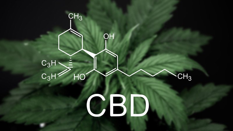 shop cbd oil